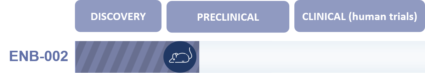 ENB-002 development pipeline: discovery, preclinical, clinical
